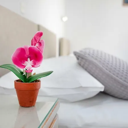 Inn Lalos Parikia (Paros)